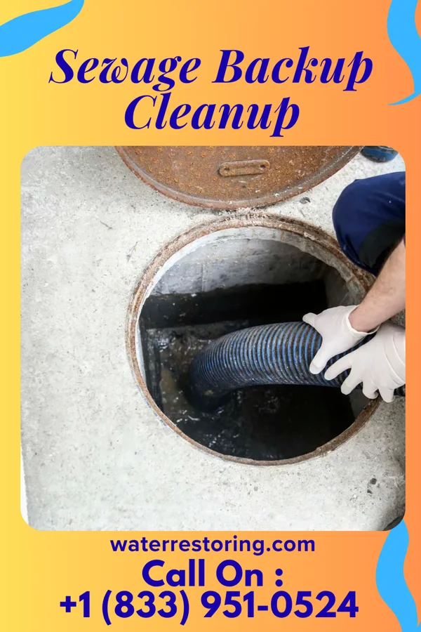 Sewage Backup Cleanup in Granite, OK